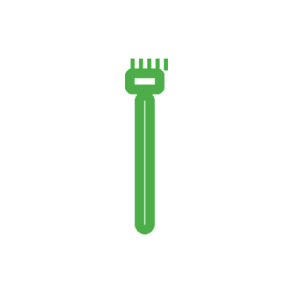 Toothbrush (2-pack)